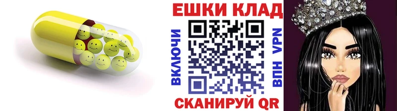ЭКСТАЗИ 99%  купить наркотики цена  Касли 