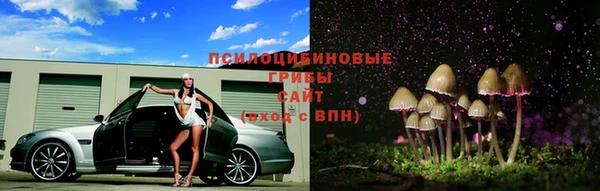 гашик Новодвинск