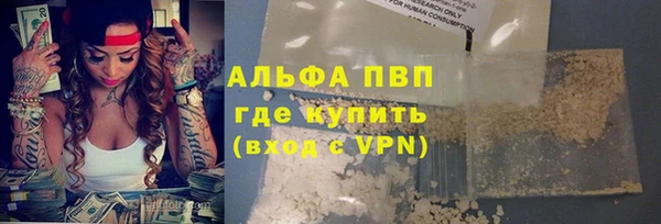 гашик Новодвинск
