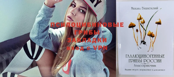 гашик Новодвинск