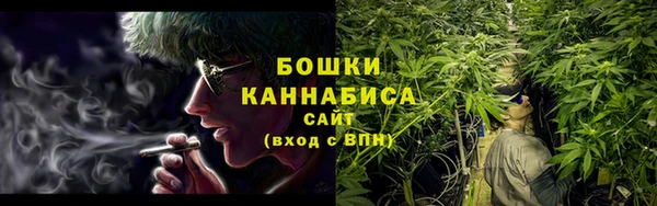 гашик Новодвинск