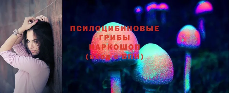 купить закладку  Касли  Псилоцибиновые грибы Psilocybe 